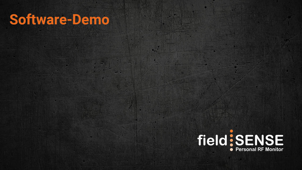 Software-Demo